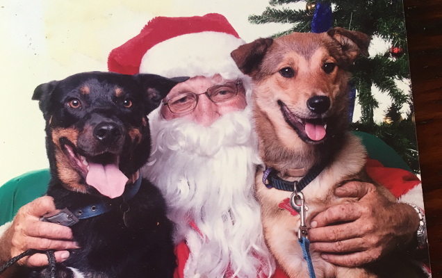 rspca inspector laurie as santa